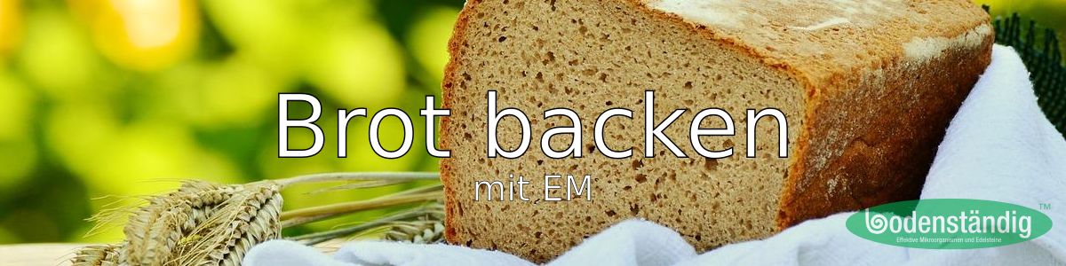 EM Brot