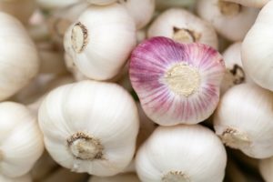 Knoblauch wird von vielen Gärtnern auch zwischen Erdbeeren gepflanzt - es schützt vor Grauschimmel