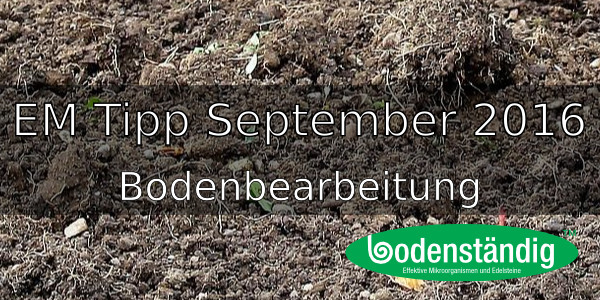 EM-Tipp im September 2016