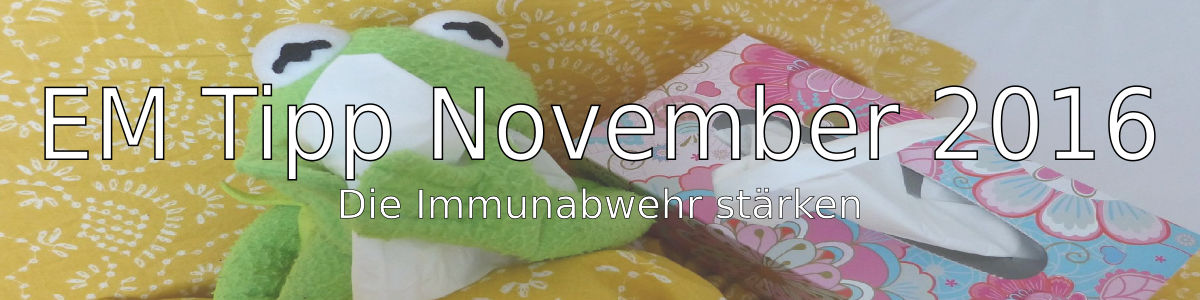banner_em_tipp_november_2016