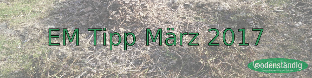 EM Tipp März 2017