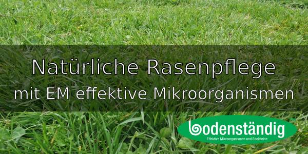 Rasenpflege mit den EM effektiven Mikroorganismen