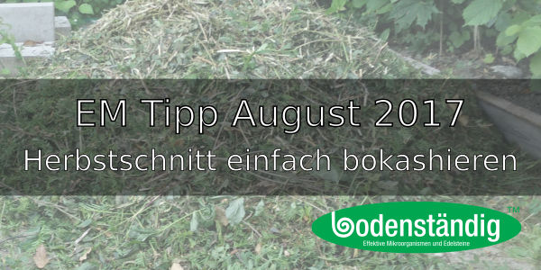 EM Tipp August 2017