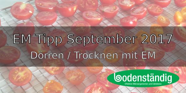 EM Tipp September 2017
