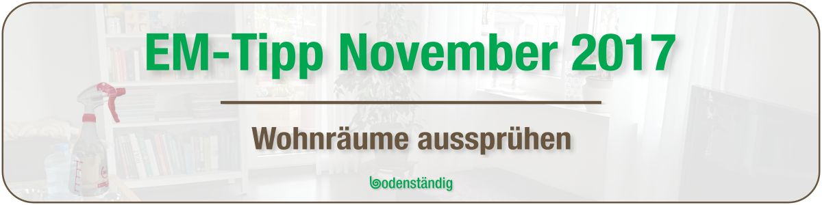 Banner EM Tipp November 2017