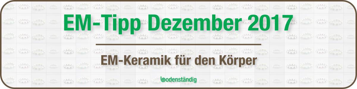 Banner EM Tipp Dezember 2017