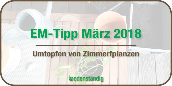 EM Tipp März 2018