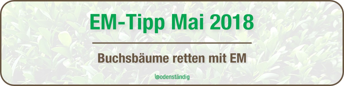 Banner EM Tipp Mai 2018 - Buchsbäume mit EM retten