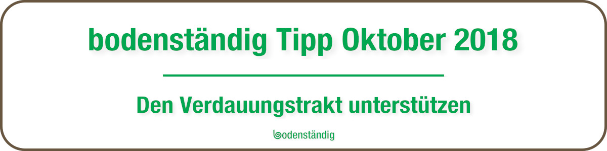 EM und Edelstein Tipp im Monat Oktober 2018