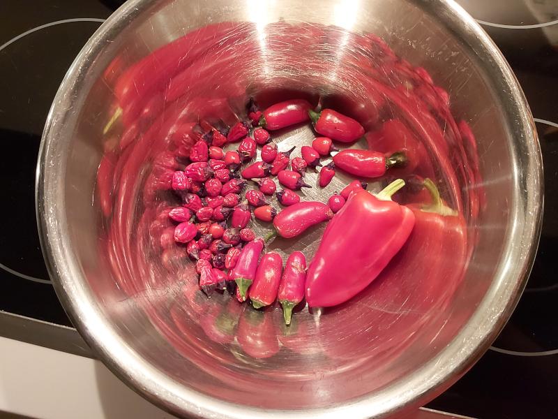 Chillies mit EM effektive Mikroorganismen angebaut - Ernährungsumstellung