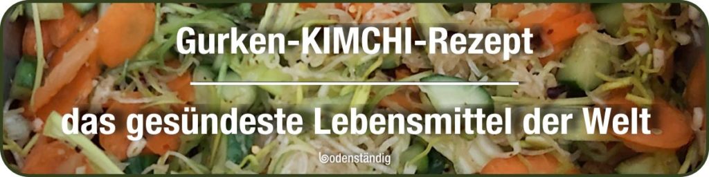 Kimchi-Rezept