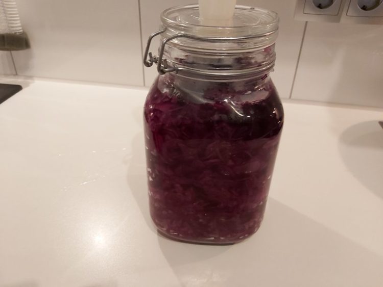 Fermentations-Glas Rotkohl mit EM