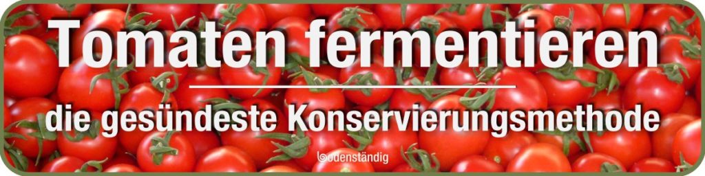 Tomaten fermentieren - Überschrift