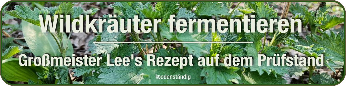 Rezept Wildkräuter fermentieren mit den EM effektiven