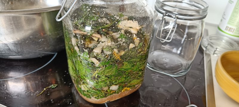 Wildkräuter fermentieren - füll rein