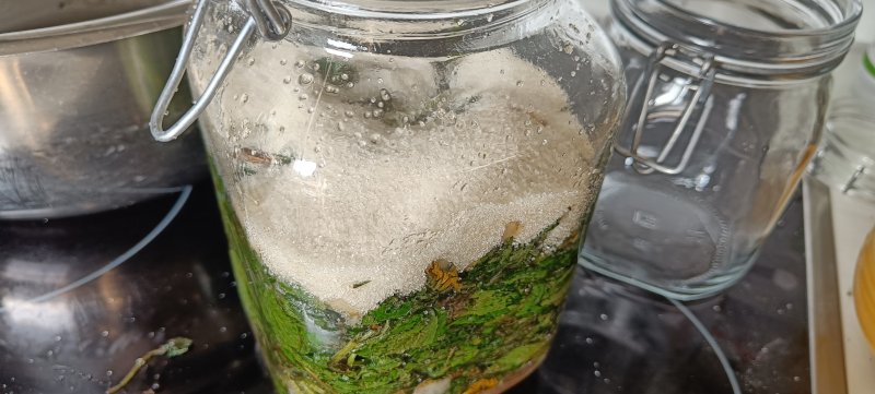 Wildkräuter fermentieren Das Einfüllen